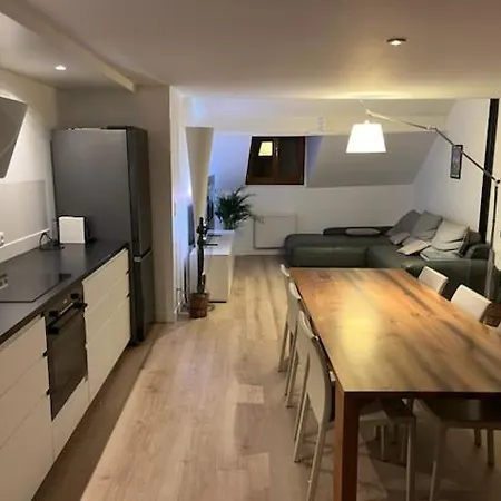 A 200m Du Lac, Au Coeur De La Vieille Avec Parking Appartement Annecy